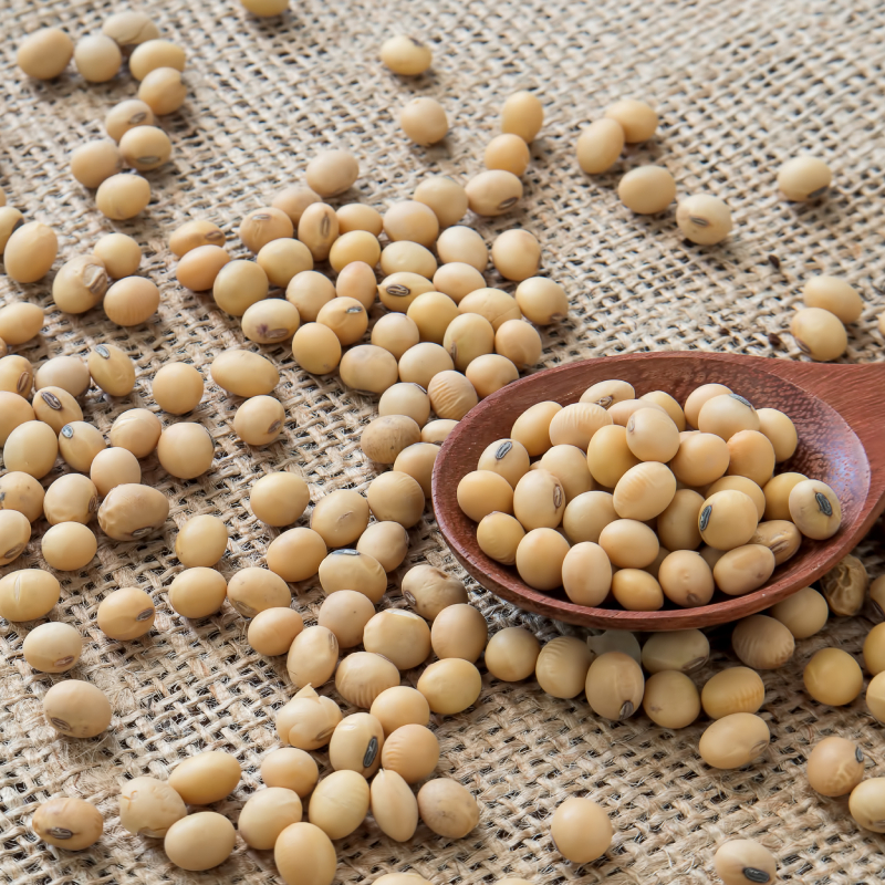 Soy Beans
